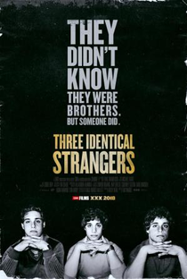 Três Estranhos Idênticos - Poster / Capa / Cartaz - Oficial 2