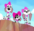 The Woof Factor