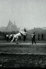 Vaulting of the Prague Sokol Equestrian Section (Voltýžování jízdního odboru Sokola pražského)