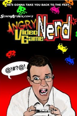 The Angry Video Game Nerd (The Angry Video Game Nerd)