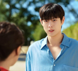 12회