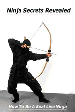 Ninja Bombs (Ninja Bombs)