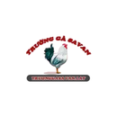 Foto de perfil de TRƯỜNG GÀ SAVAN - XEM ĐÁ GÀ C1