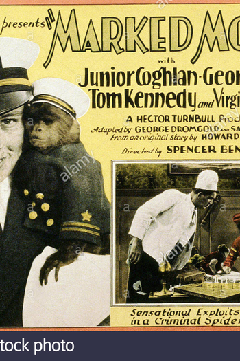 Poster de Filme Dinheiro Maldito (1928)