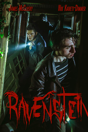 Poster de Filme Ravenstein (2020)