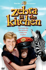 O Menino e a Onça (Zebra in the Kitchen)