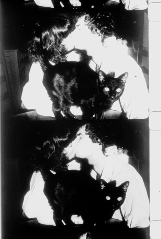 Poster 1 de Filme The Lighted Field (1987)