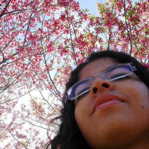 Foto de perfil de Eline