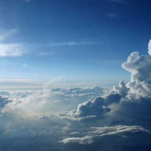 Foto de perfil de cinefilos_anonimos