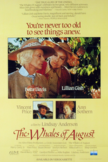 Baleias de Agosto (The Whales of August)