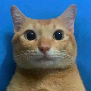Foto de perfil de Iorhan