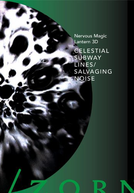 Celestial Subway Lines/Salvaging Noise (Celestial Subway Lines/Salvaging Noise)