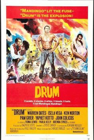 Poster 1 de Filme Drum (1976)