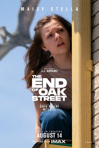 Poster 16 de Filme O Fim da Rua (2026)