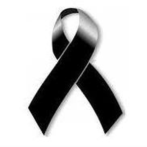 Foto de perfil de Priscilla