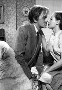 The six-sided triangle (The six-sided triangle)