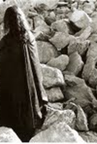 Poster 1 de Curta A Bela e os Pássaros (2001)