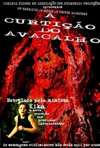 Poster 1 de Filme A Curtição do Avacalho (2006)