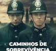 Caminhos da Sobrevivência
