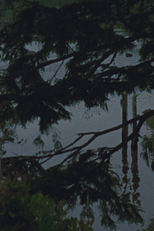 Saisonnier / Of a Season (Saisonnier / Of a Season)