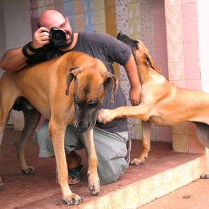 Foto de perfil de Aurino Borges Neto