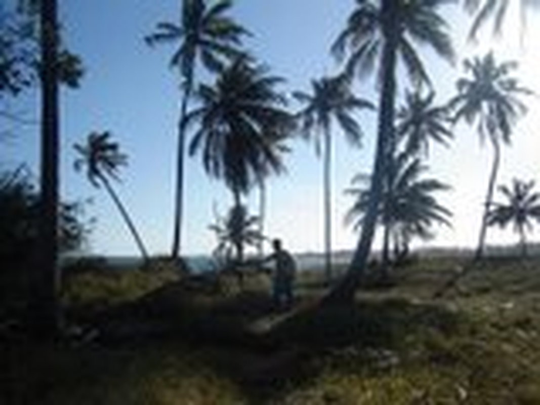LAU - Foto 2