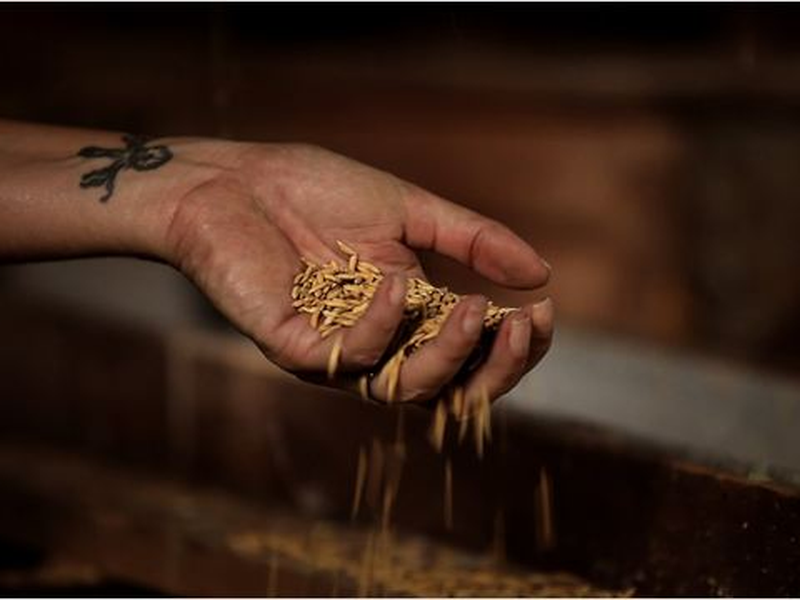 Foto 7 de A Última Estação