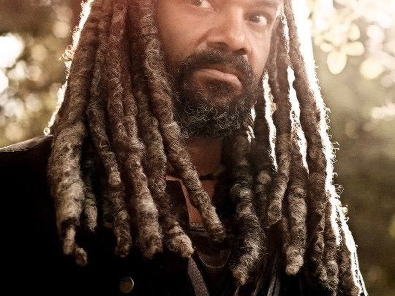 Foto 4 de The Walking Dead (9ª Temporada)