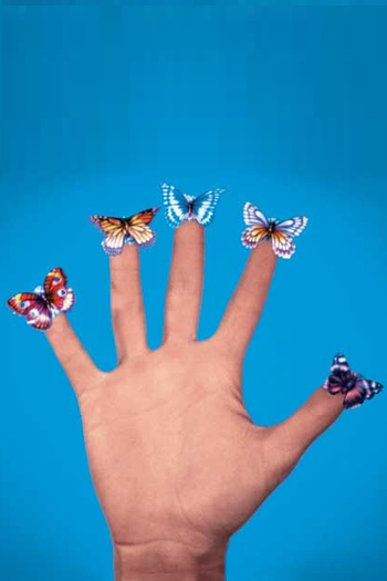 Poster de Curta Butterflies (1975)