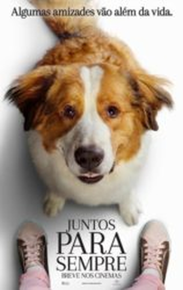 Crítica: Juntos Para Sempre (“A Dog’s Journey”) | CineCríticas