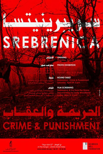 Srebrenica: A Cry from the Grave - Poster / Capa / Cartaz - Oficial 1