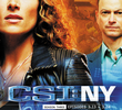 CSI: Nova Iorque (3ª Temporada)