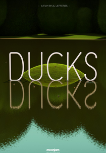 Ducks (Ducks)