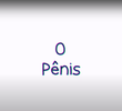 O Pênis