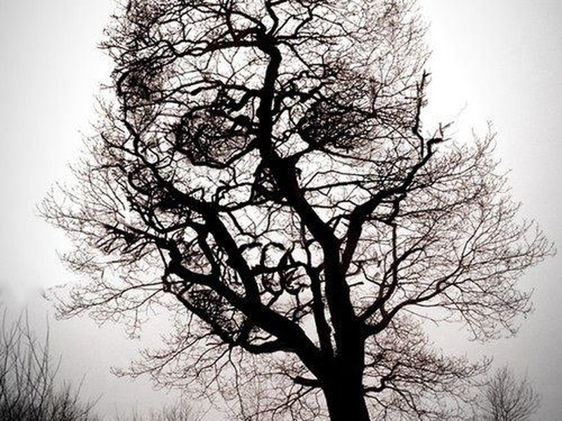 Foto 2 de Muito Além do Medo