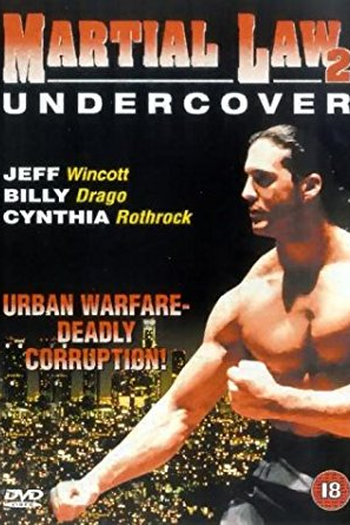  de Filme Leis Marciais 2 (1991)