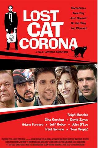 Poster 1 de Filme Lost Cat Corona (2017)