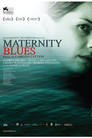 Poster de Filme Maternity blues (2011)