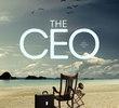 Os Cinco CEOs