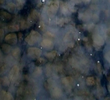 Drops on Marble