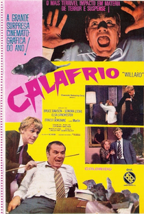 Calafrio - Poster / Capa / Cartaz - Oficial 3