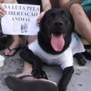 Foto de perfil de Arthur Feitosa Petrola