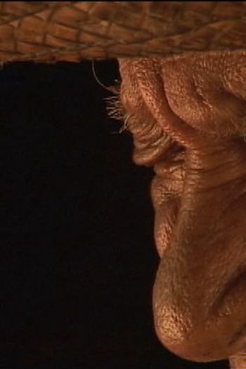 Poster de Curta Nada com Ninguém (2003)