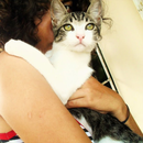 Foto de perfil de Claudinha Encastelada
