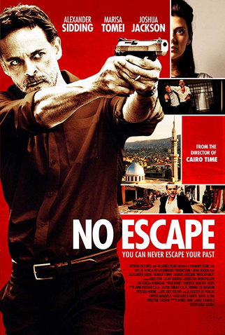 Poster 4 de Filme Busca Desesperada (2012)