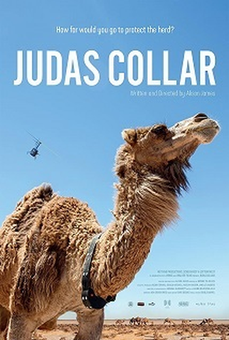 Poster 1 de Curta Judas Collar (2018)