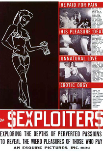 The Sexploiters - Poster / Capa / Cartaz - Oficial 3