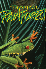 Tropical Rainforest (Tropical Rainforest)
