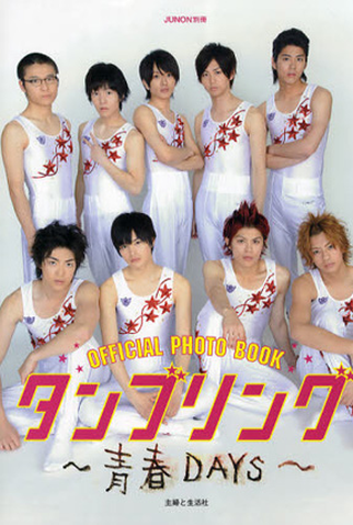 Poster 1 de Série Tumbling (2010)