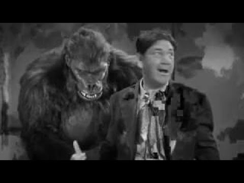 Foto 1 de A idéia é brilhante